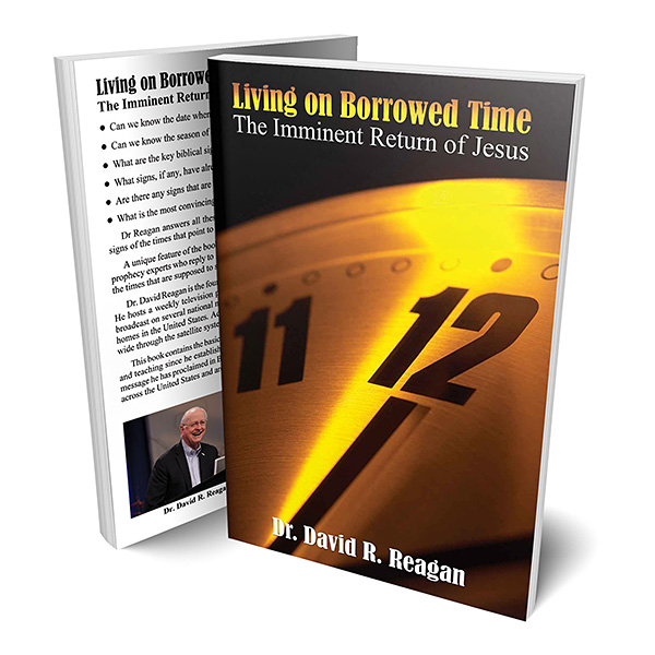 Living on Borrowed Time (Book)