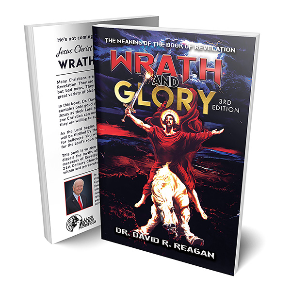 Wrath and Glory (Book)